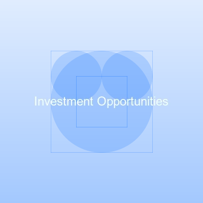 Investment Opportunities